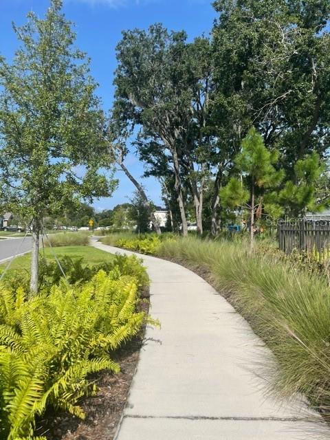 Image 18 of 19 For 10231 Opaline Sky Court