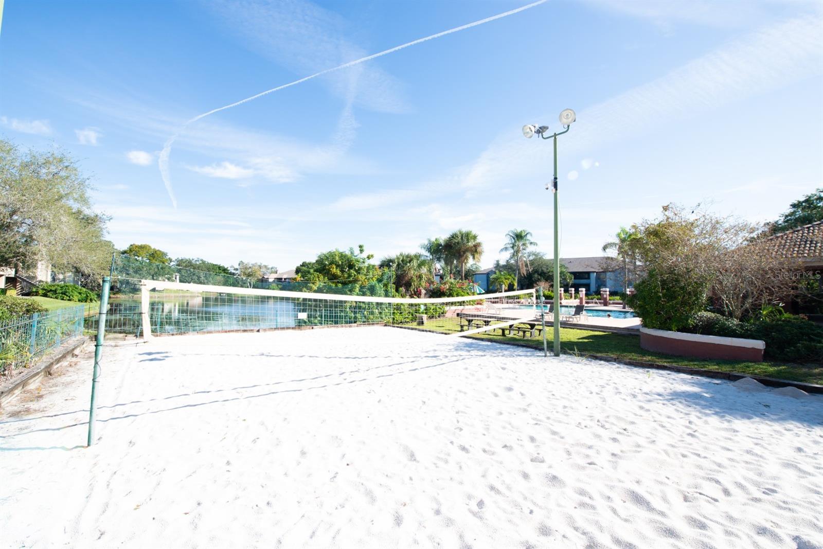 Image 30 of 35 For 10265 Gandy Boulevard N 1505