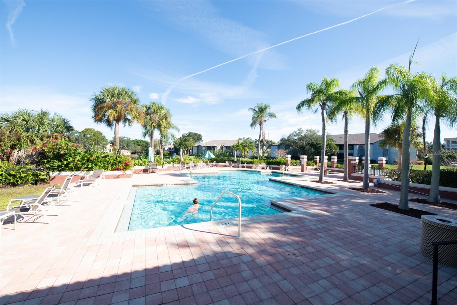 Image 31 of 35 For 10265 Gandy Boulevard N 1505