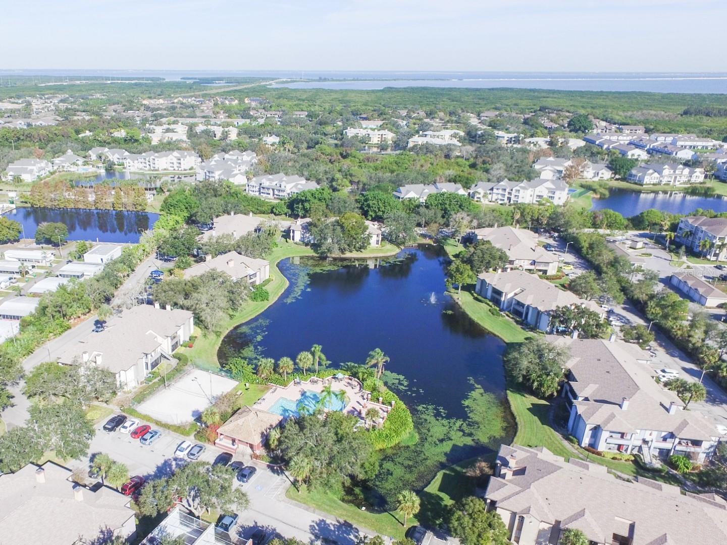 Image 34 of 35 For 10265 Gandy Boulevard N 1505