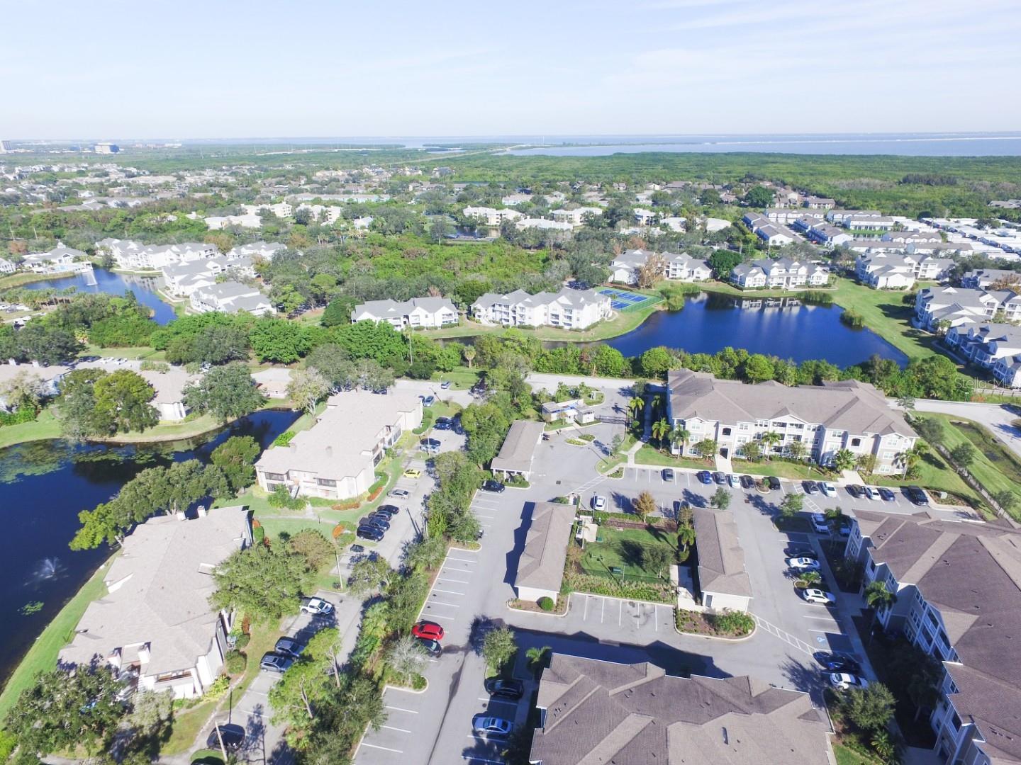 Image 35 of 35 For 10265 Gandy Boulevard N 1505