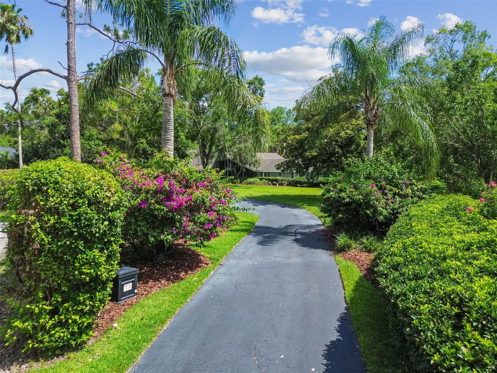 Image 62 of 78 For 16205 Sentry Wood Court
