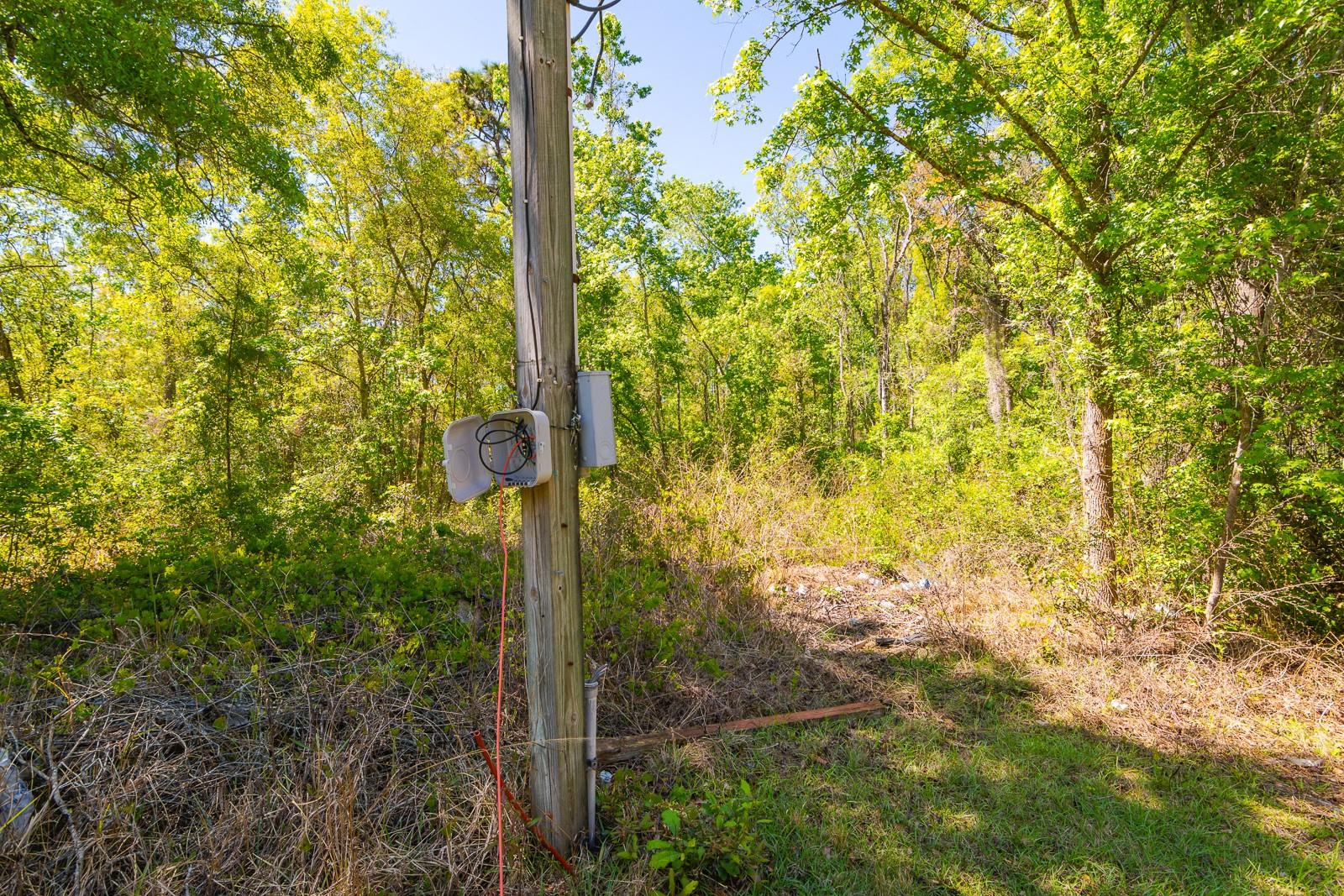 Image 10 of 35 For 12751 Morton Street