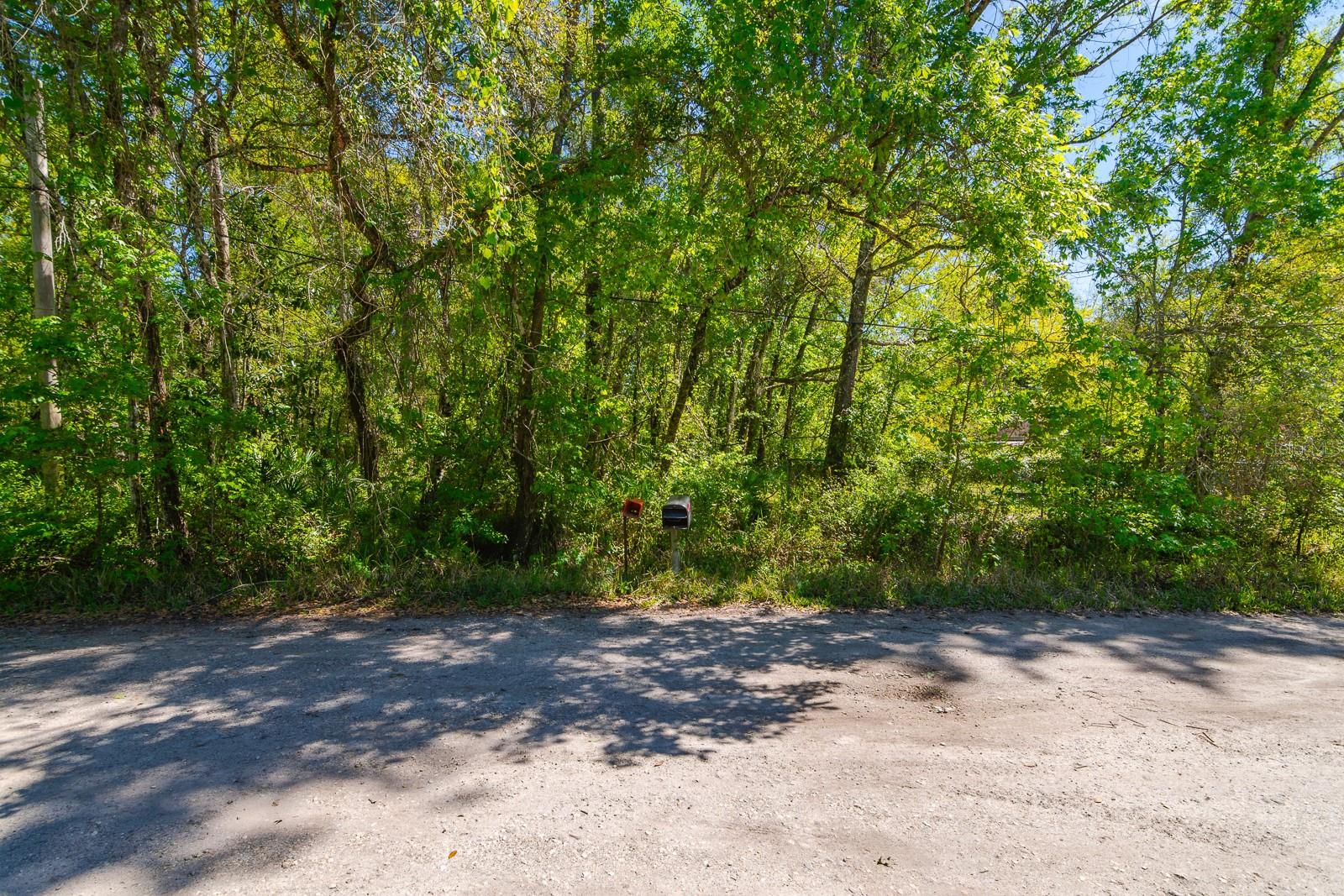 Image 28 of 35 For 12751 Morton Street