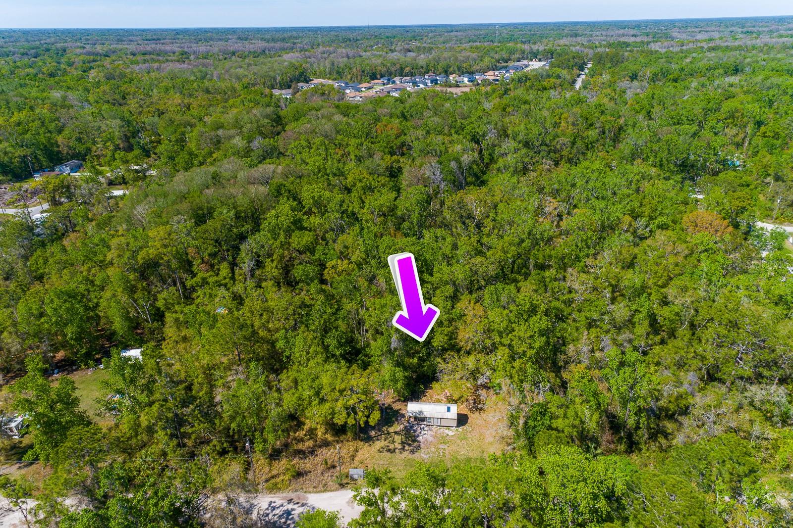 Image 5 of 35 For 12751 Morton Street