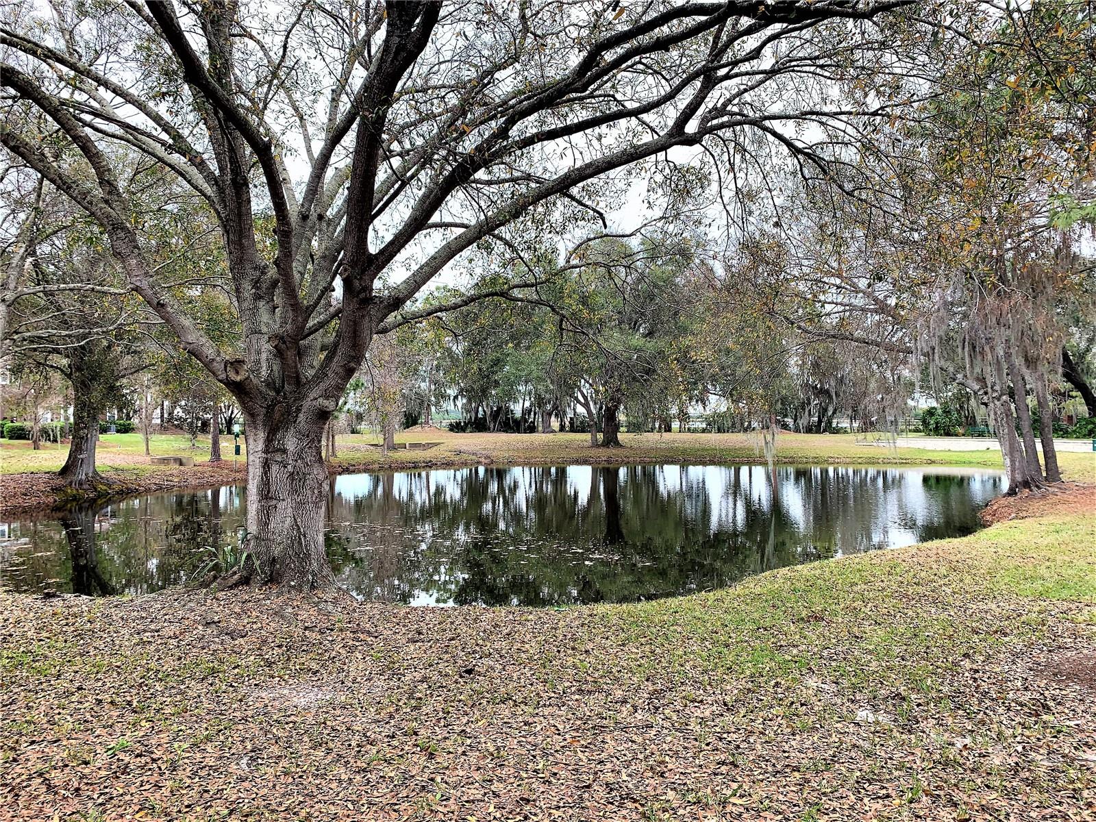 Image 27 of 35 For 10222 River Palencia Court 10222