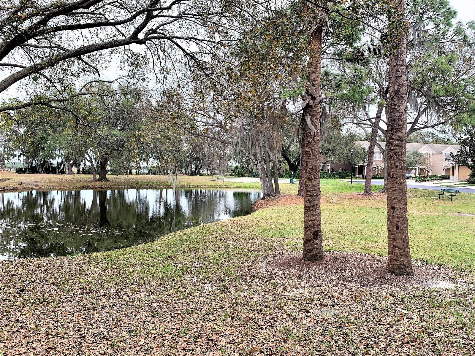 Image 28 of 35 For 10222 River Palencia Court 10222