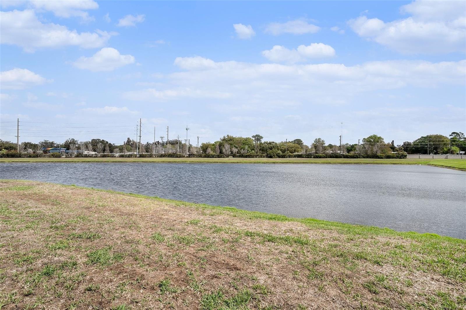 Image 26 of 29 For 11882 Thicket Wood Drive