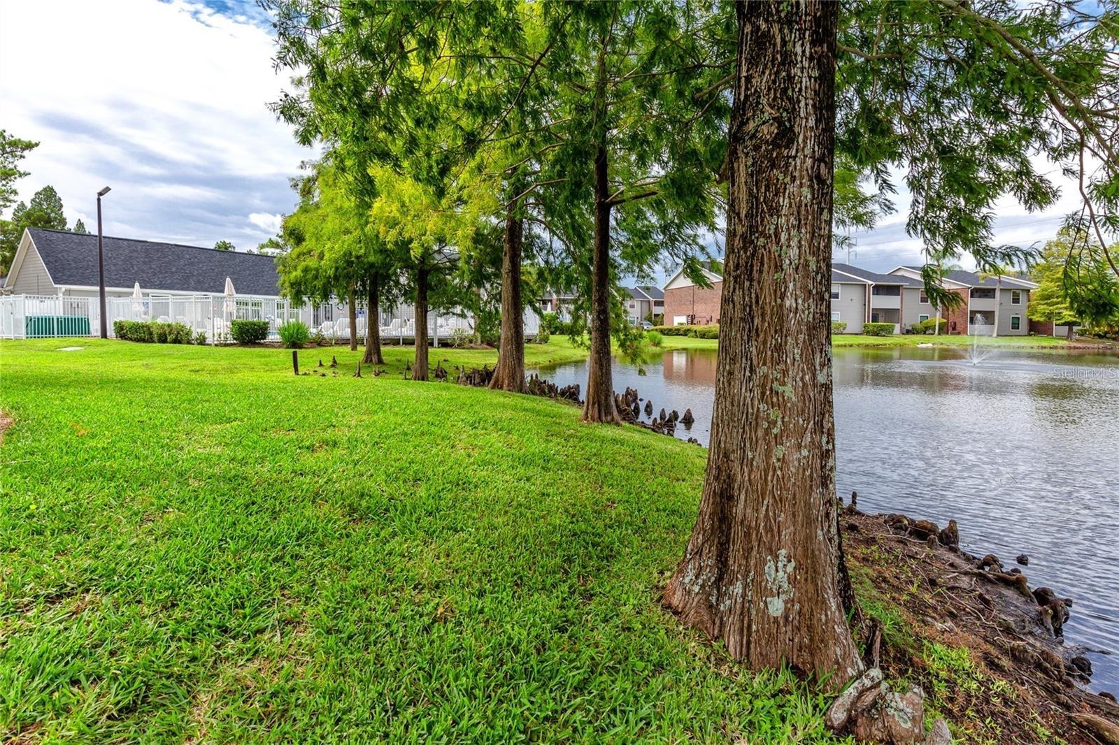 Image 24 of 31 For 1400 Gandy Boulevard N 1111