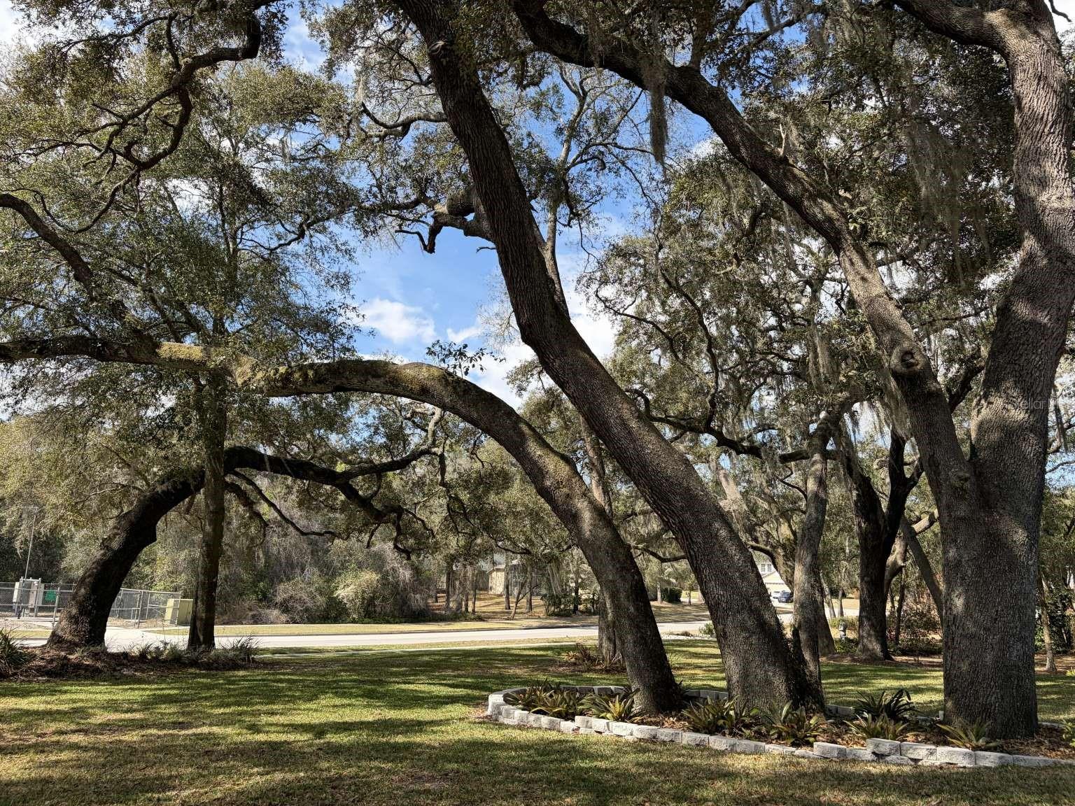 Image 3 of 71 For 597 Sand Wedge Loop