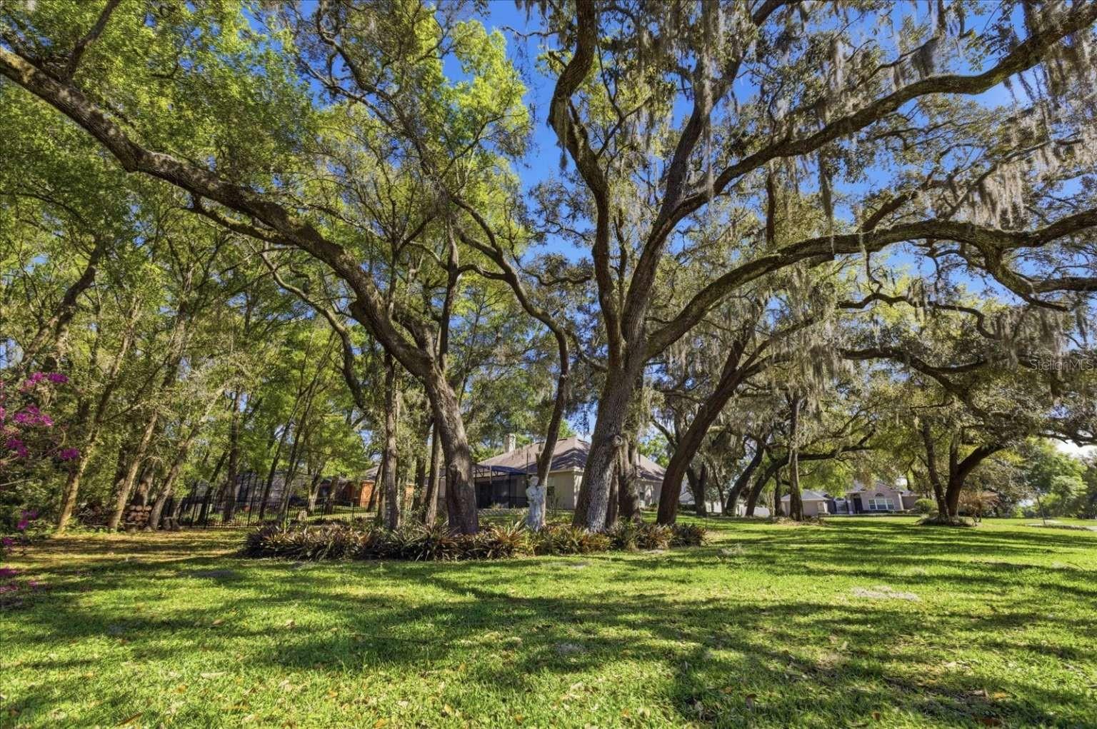 Image 4 of 71 For 597 Sand Wedge Loop