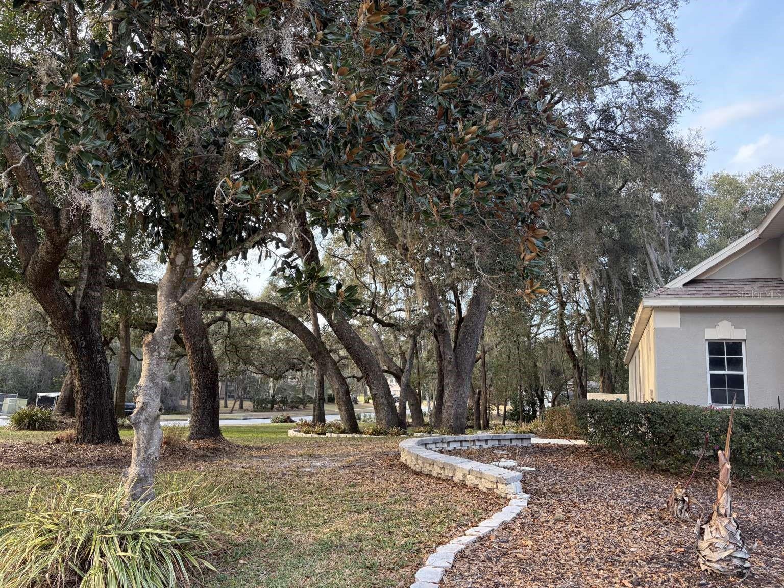 Image 54 of 71 For 597 Sand Wedge Loop