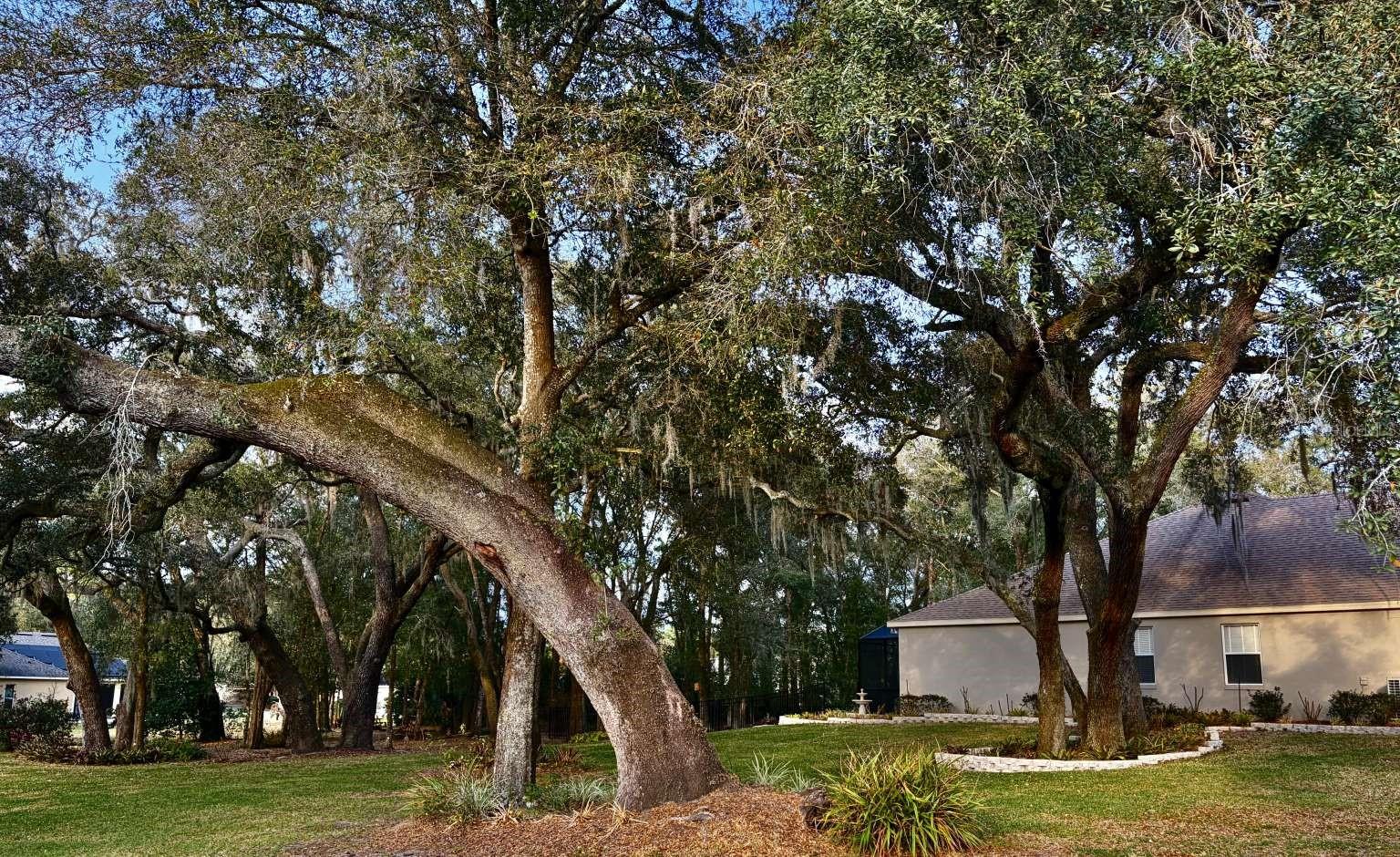 Image 59 of 71 For 597 Sand Wedge Loop