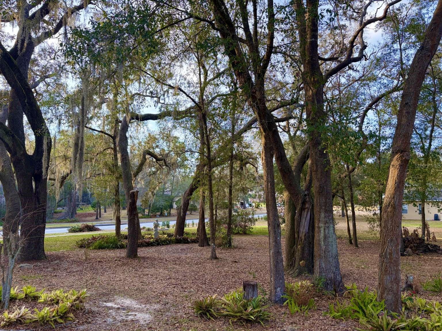 Image 60 of 71 For 597 Sand Wedge Loop