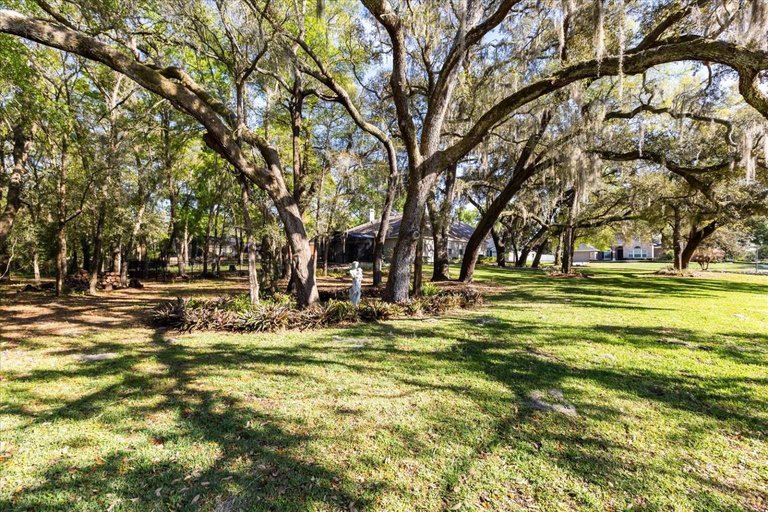 Image 61 of 71 For 597 Sand Wedge Loop