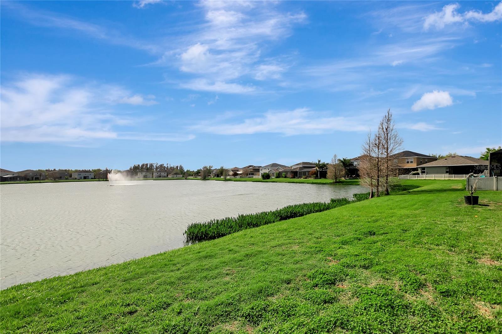 Image 48 of 49 For 10653 Pictorial Park Drive