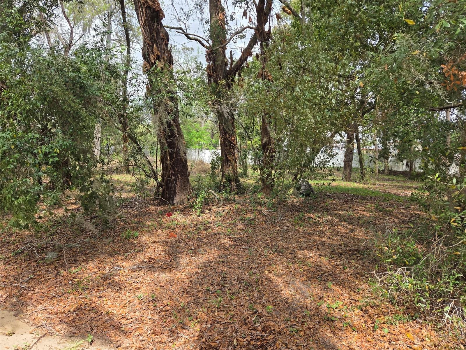 Image 2 of 4 For Kelly Lynn Court