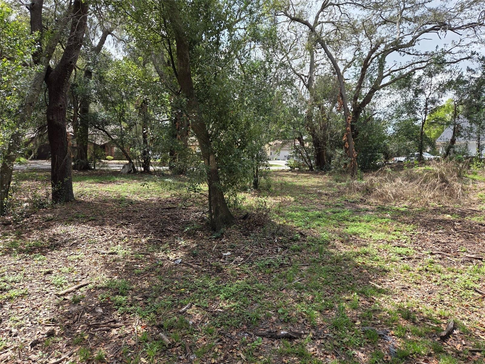 Image 4 of 4 For Kelly Lynn Court