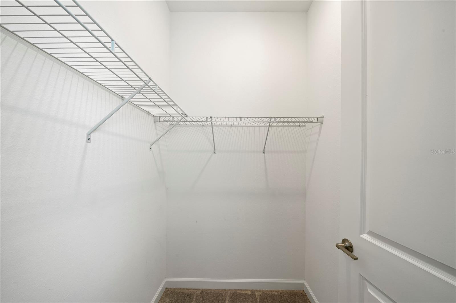 Image 38 of 80 For 31875 Magna Gulf Loop