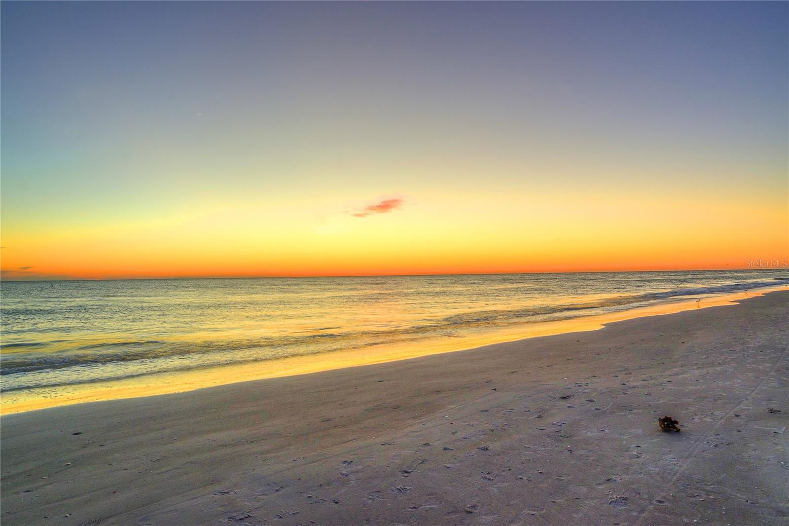 Image 11 of 12 For 551 73rd Avenue 4