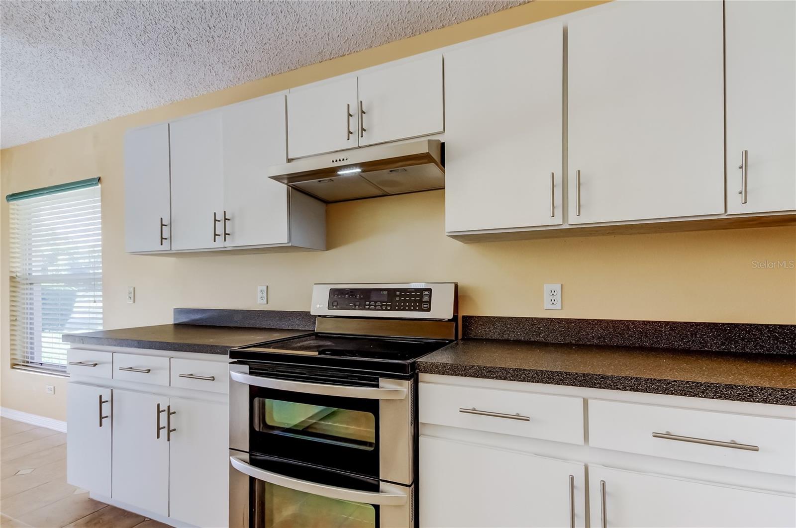 Listing photo id 12 for 10002 Oasis Palm Drive