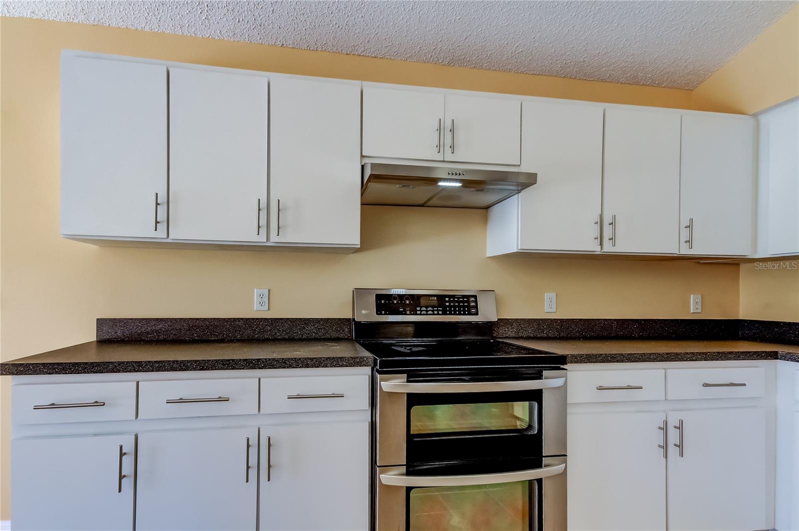 Listing photo id 16 for 10002 Oasis Palm Drive