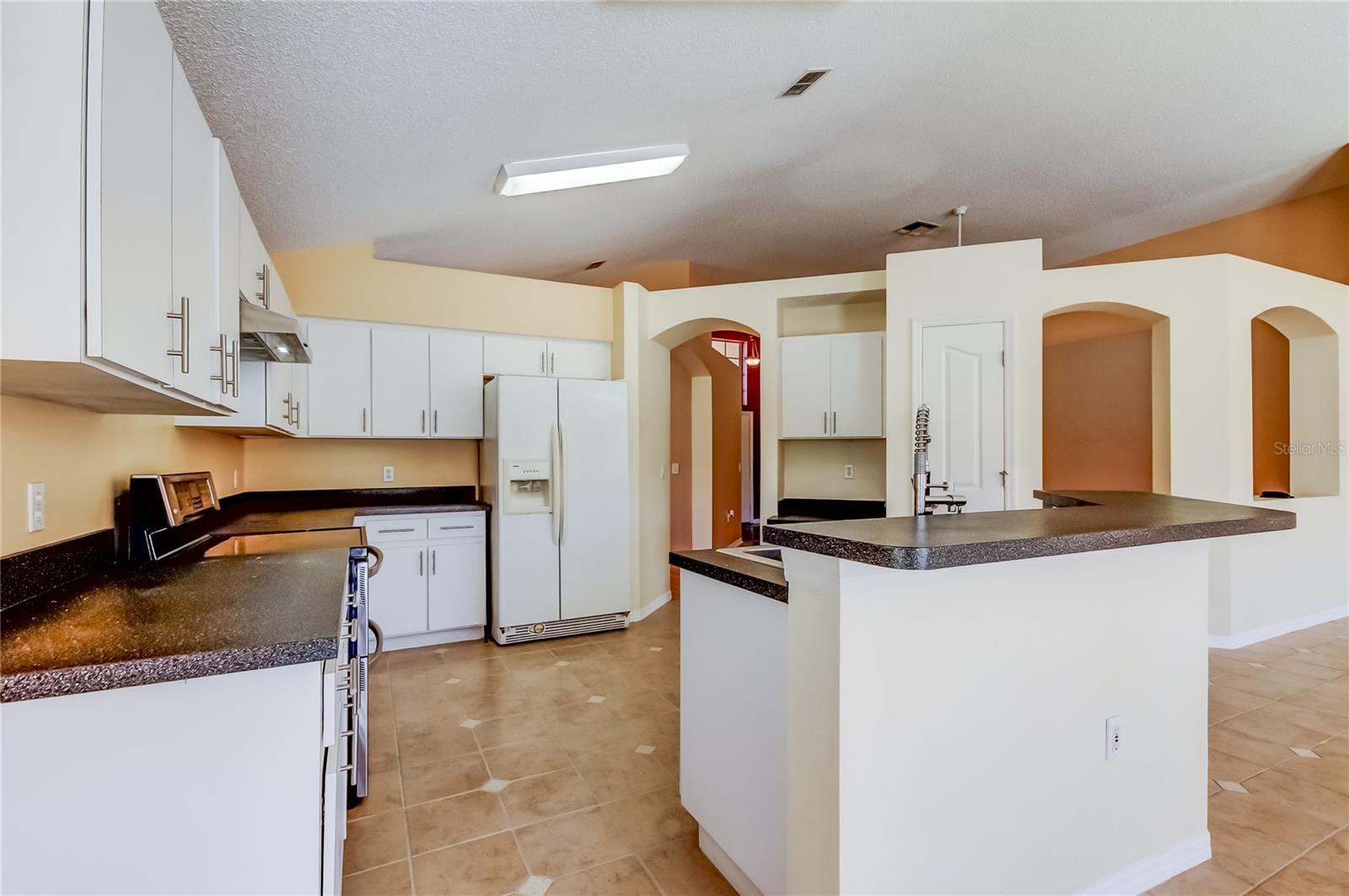 Listing photo id 19 for 10002 Oasis Palm Drive