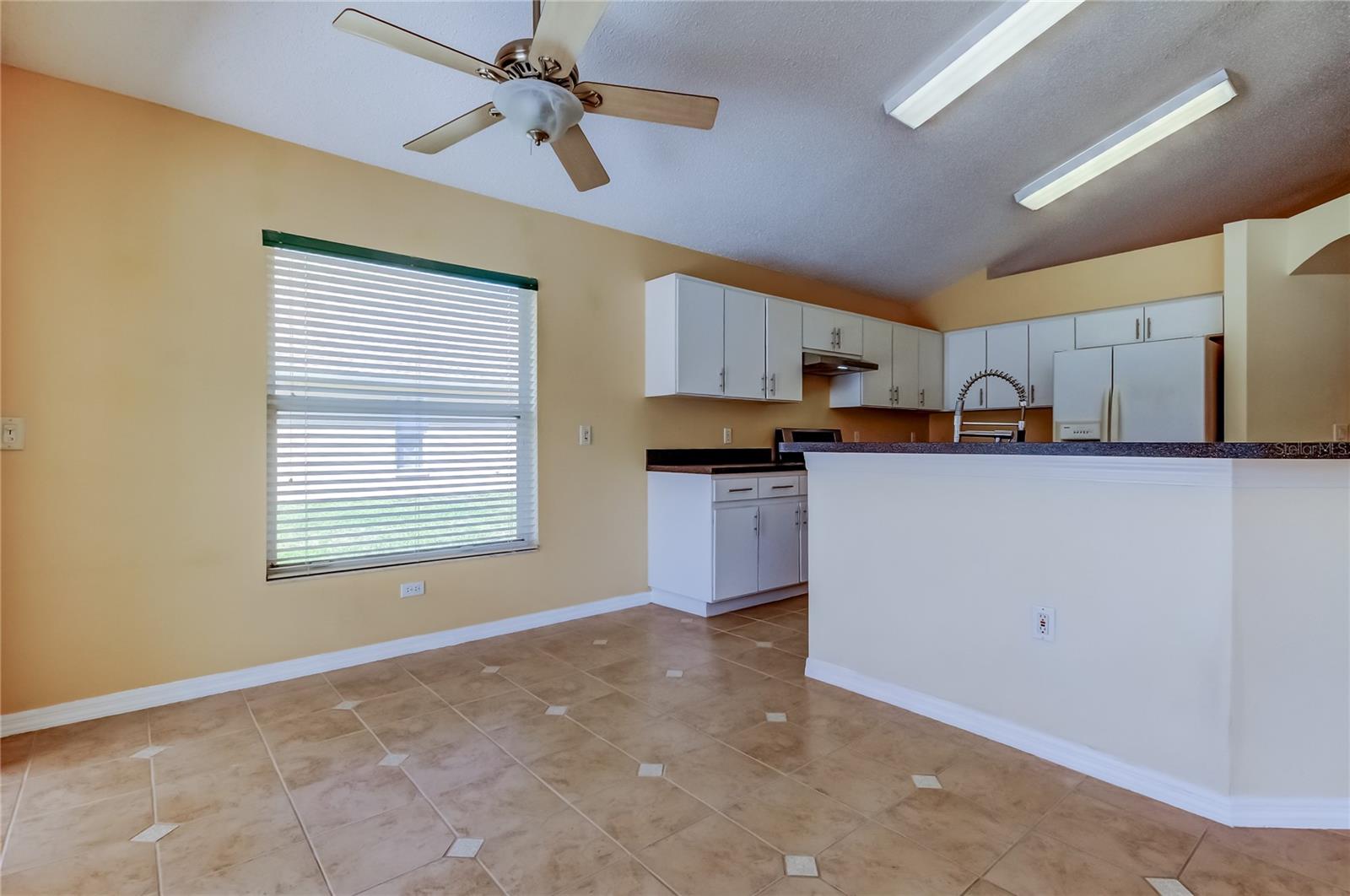 Listing photo id 27 for 10002 Oasis Palm Drive