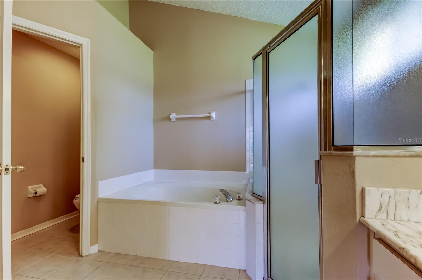 Listing photo id 36 for 10002 Oasis Palm Drive