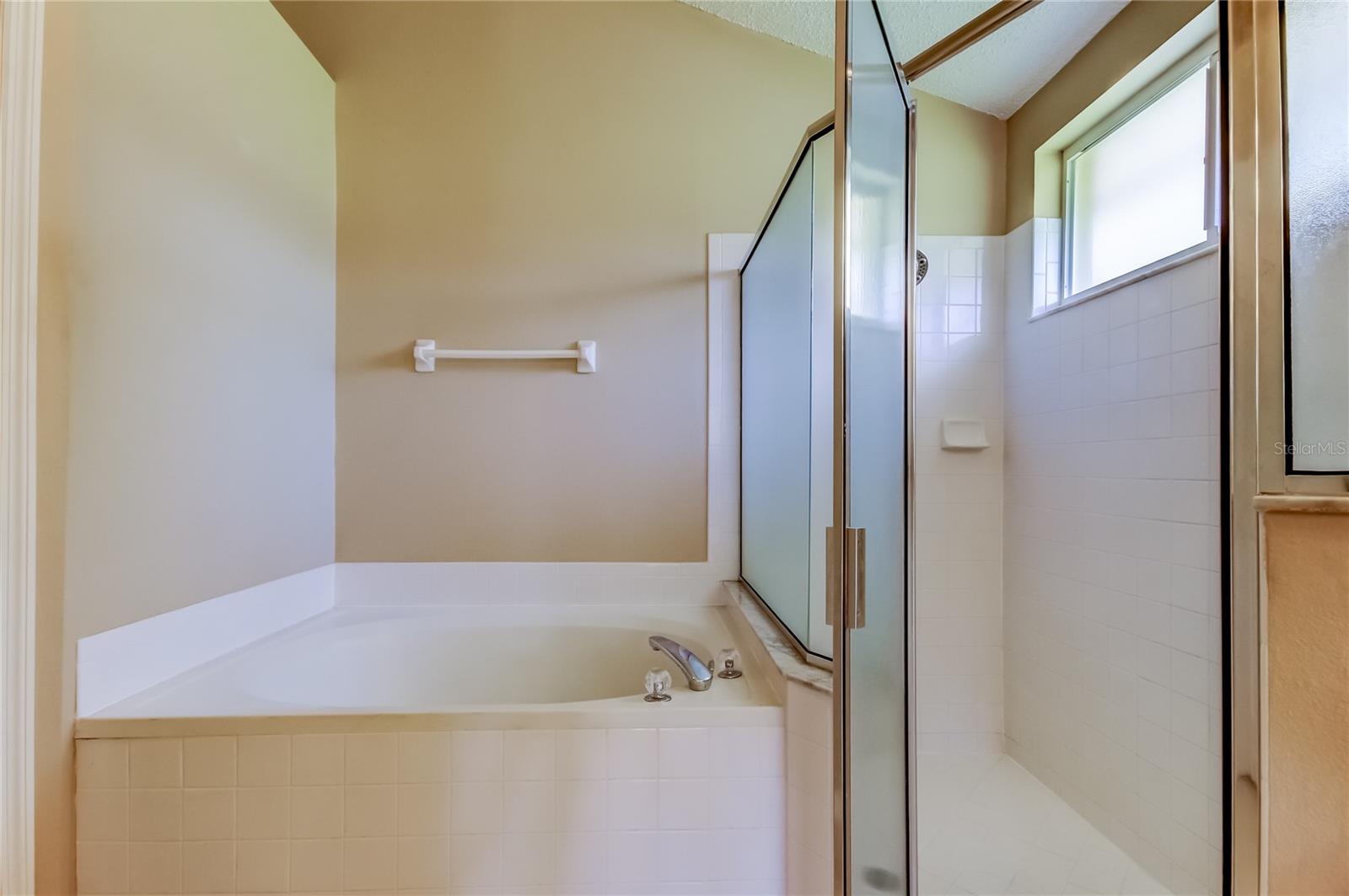 Listing photo id 37 for 10002 Oasis Palm Drive