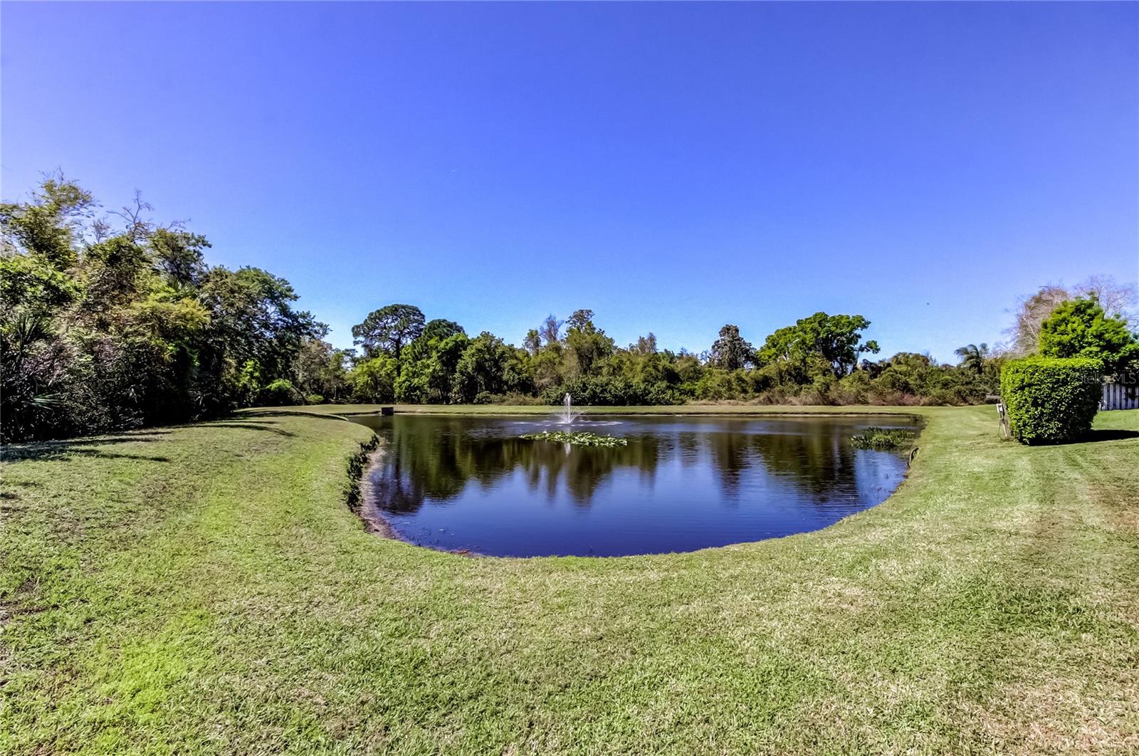 Listing photo id 62 for 10002 Oasis Palm Drive