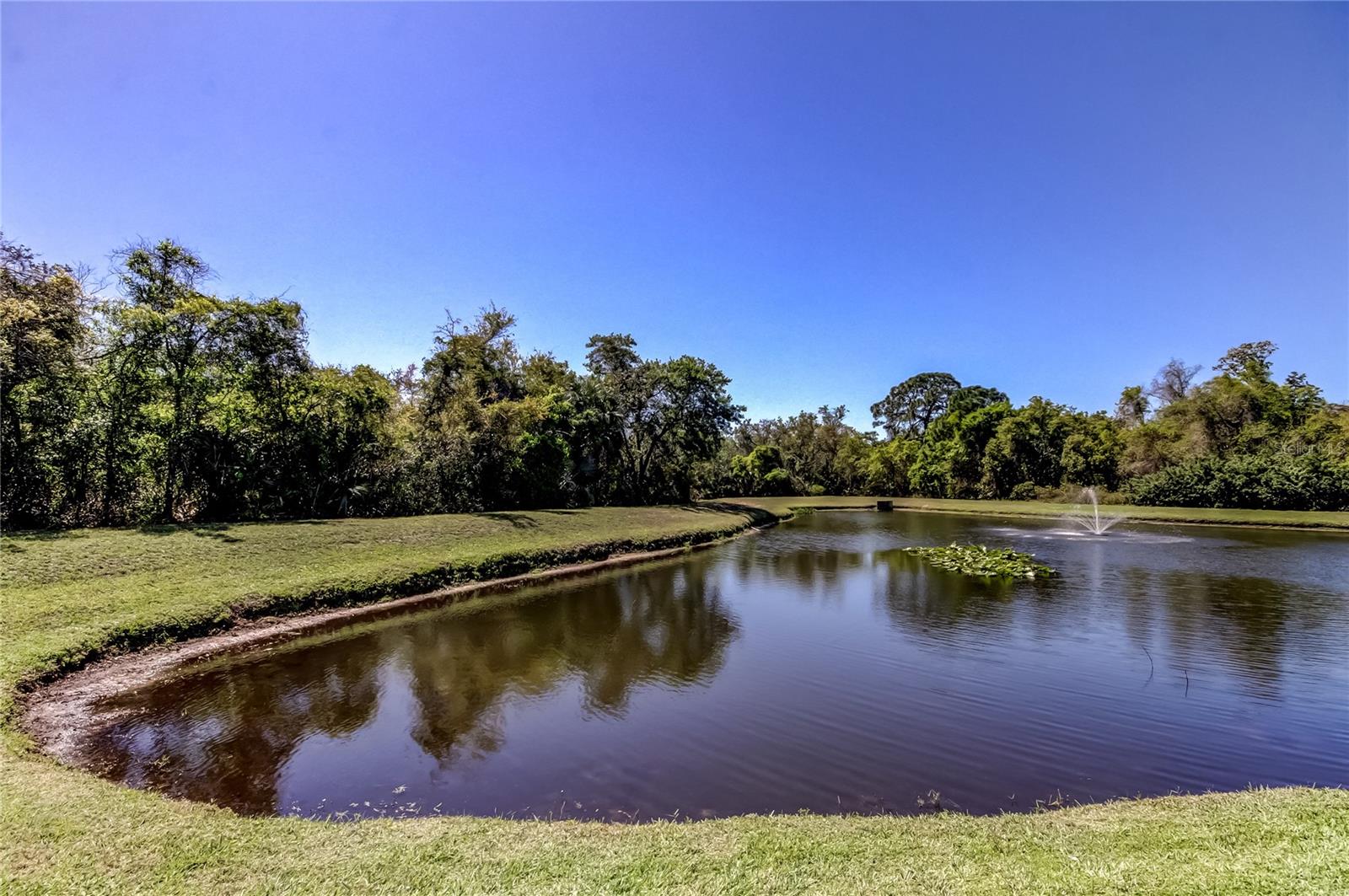 Listing photo id 63 for 10002 Oasis Palm Drive