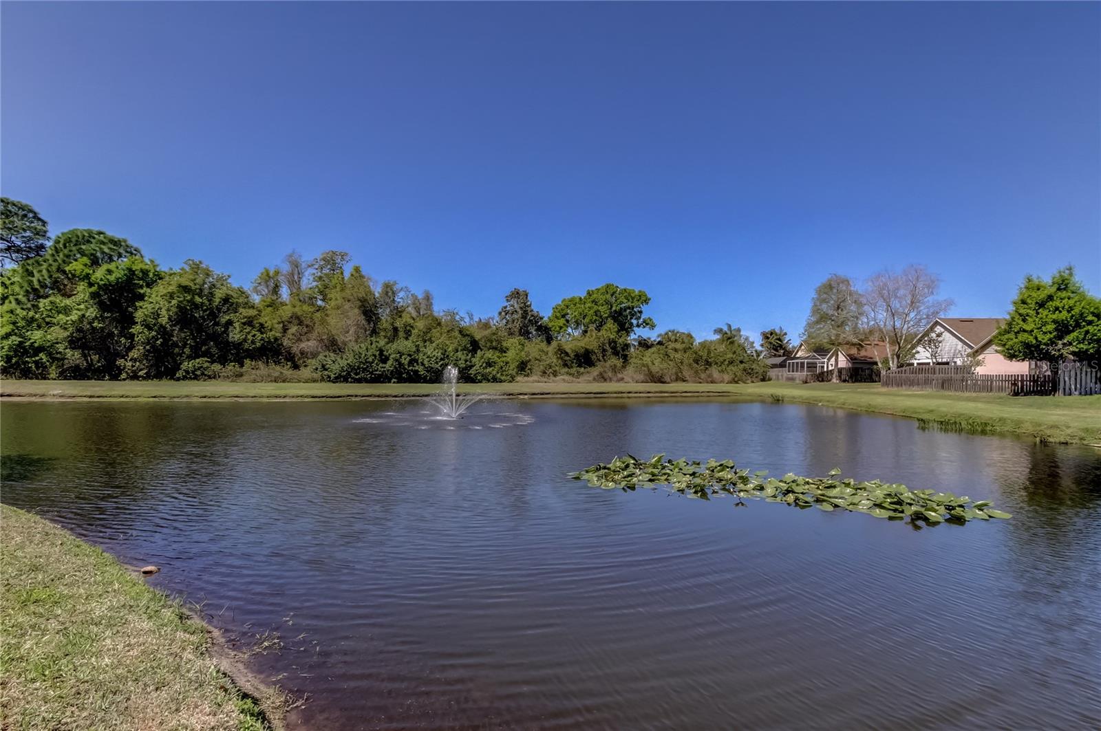 Listing photo id 67 for 10002 Oasis Palm Drive