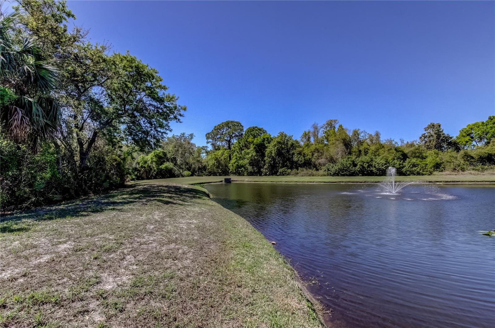 Listing photo id 68 for 10002 Oasis Palm Drive