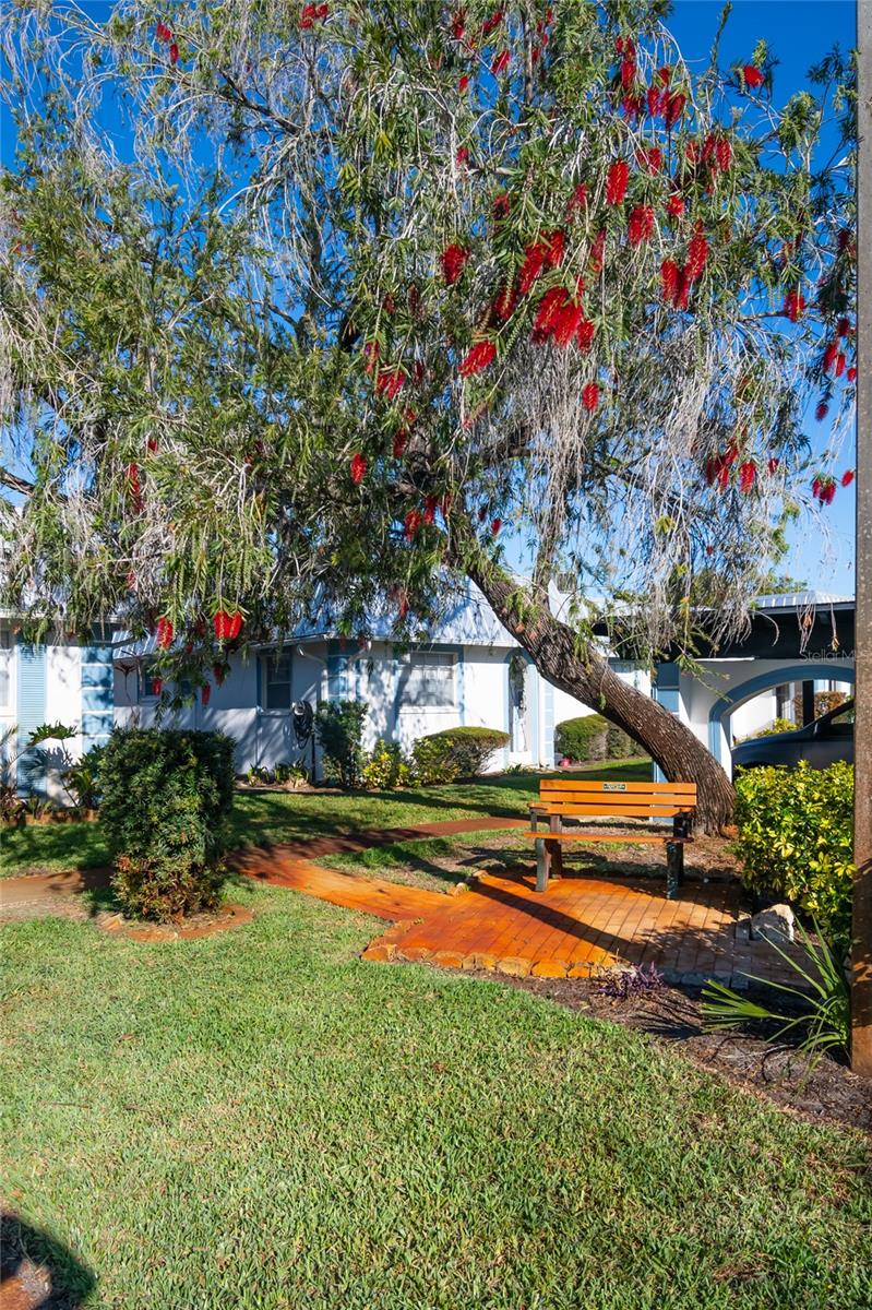 Image 36 of 44 For 4209 Tamargo Drive 4209