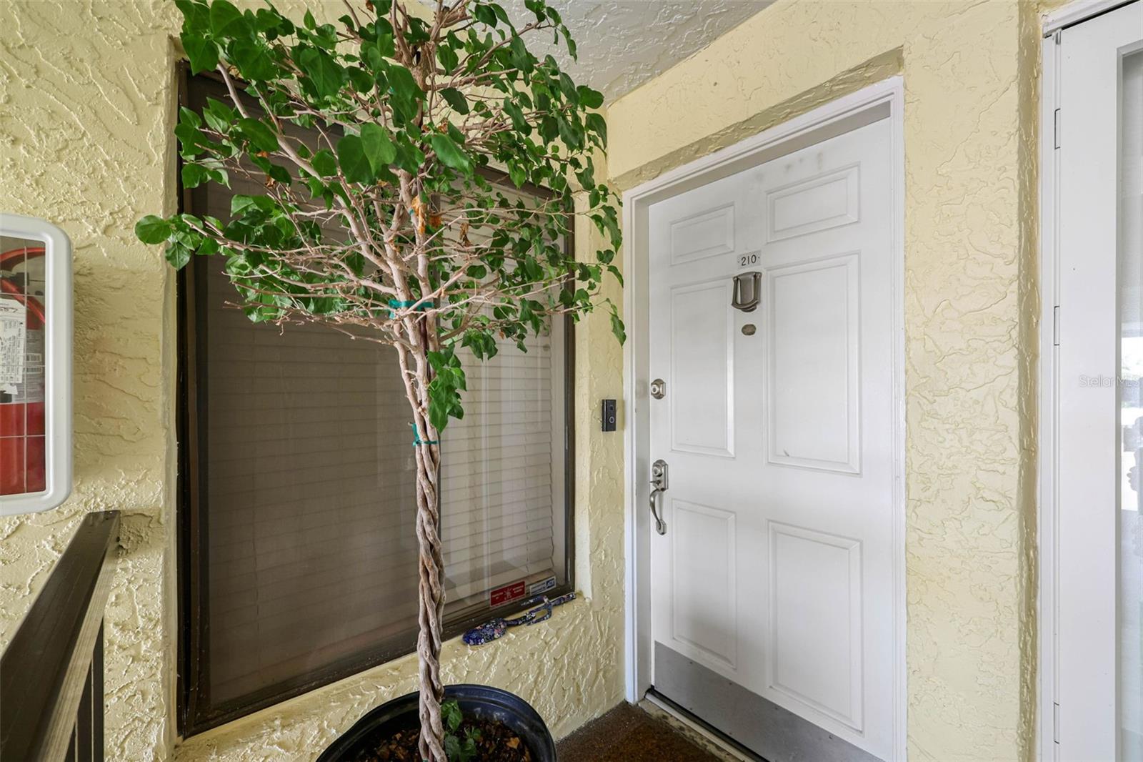 Image 6 of 41 For 7300 Sunshine Skyway Lane S 210