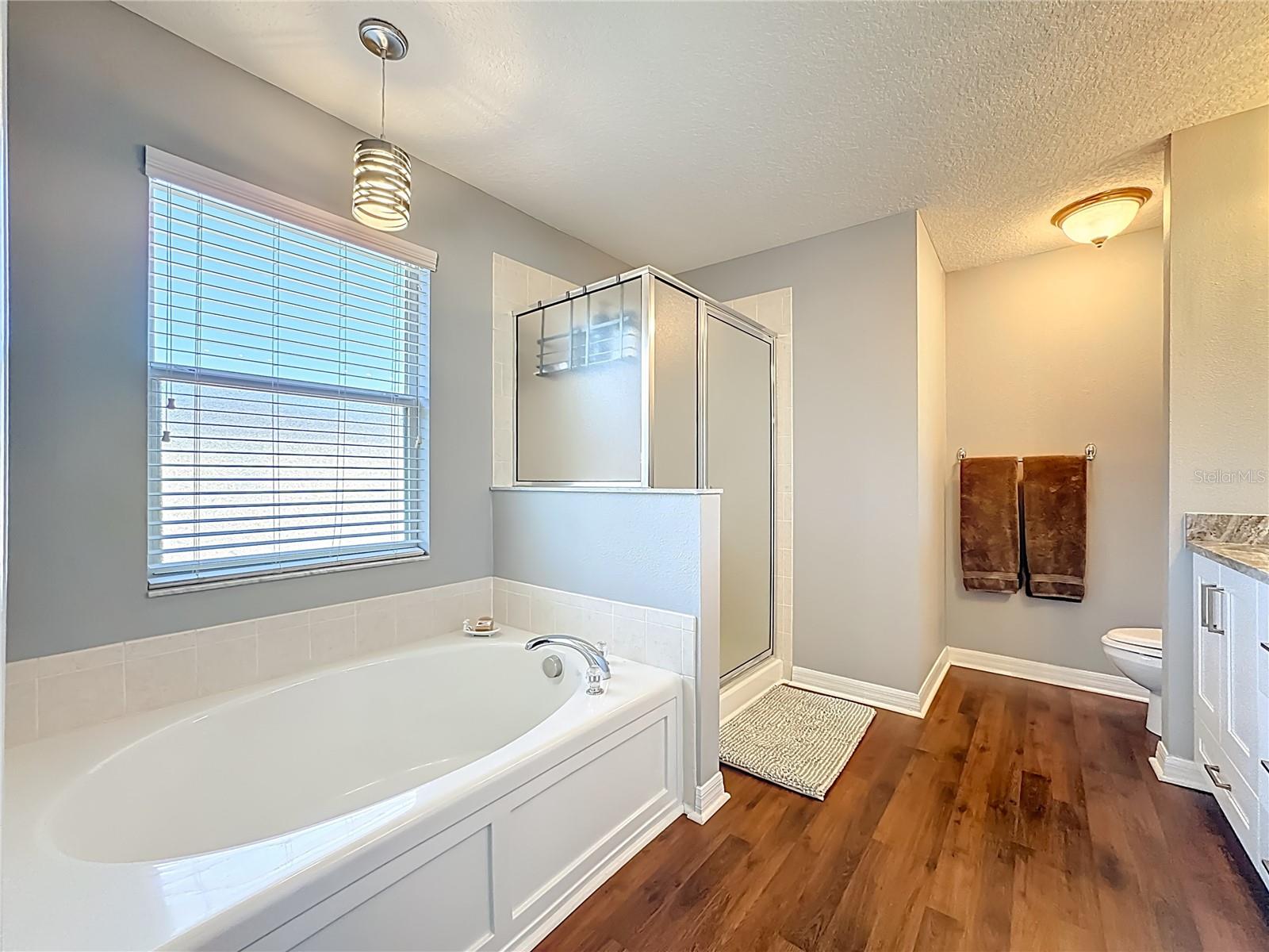 Image 28 of 39 For 9244 River Rock Lane