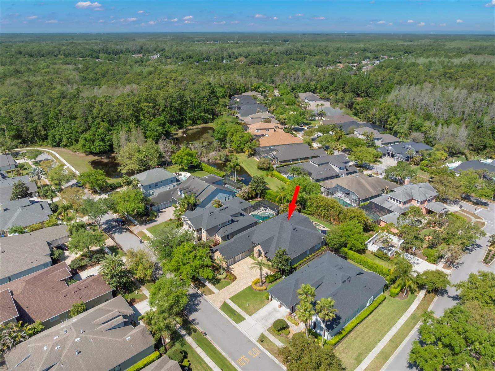 Image 64 of 96 For 12003 San Chaliford Court