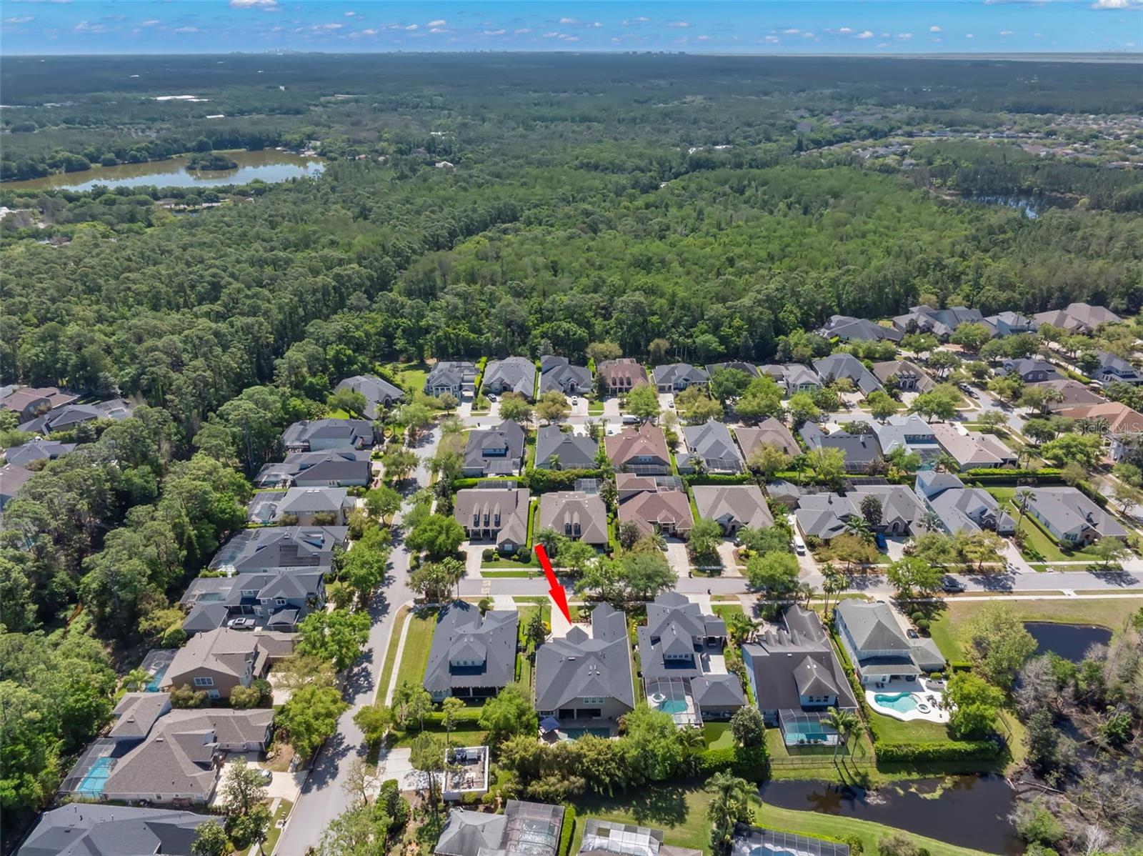 Image 65 of 96 For 12003 San Chaliford Court