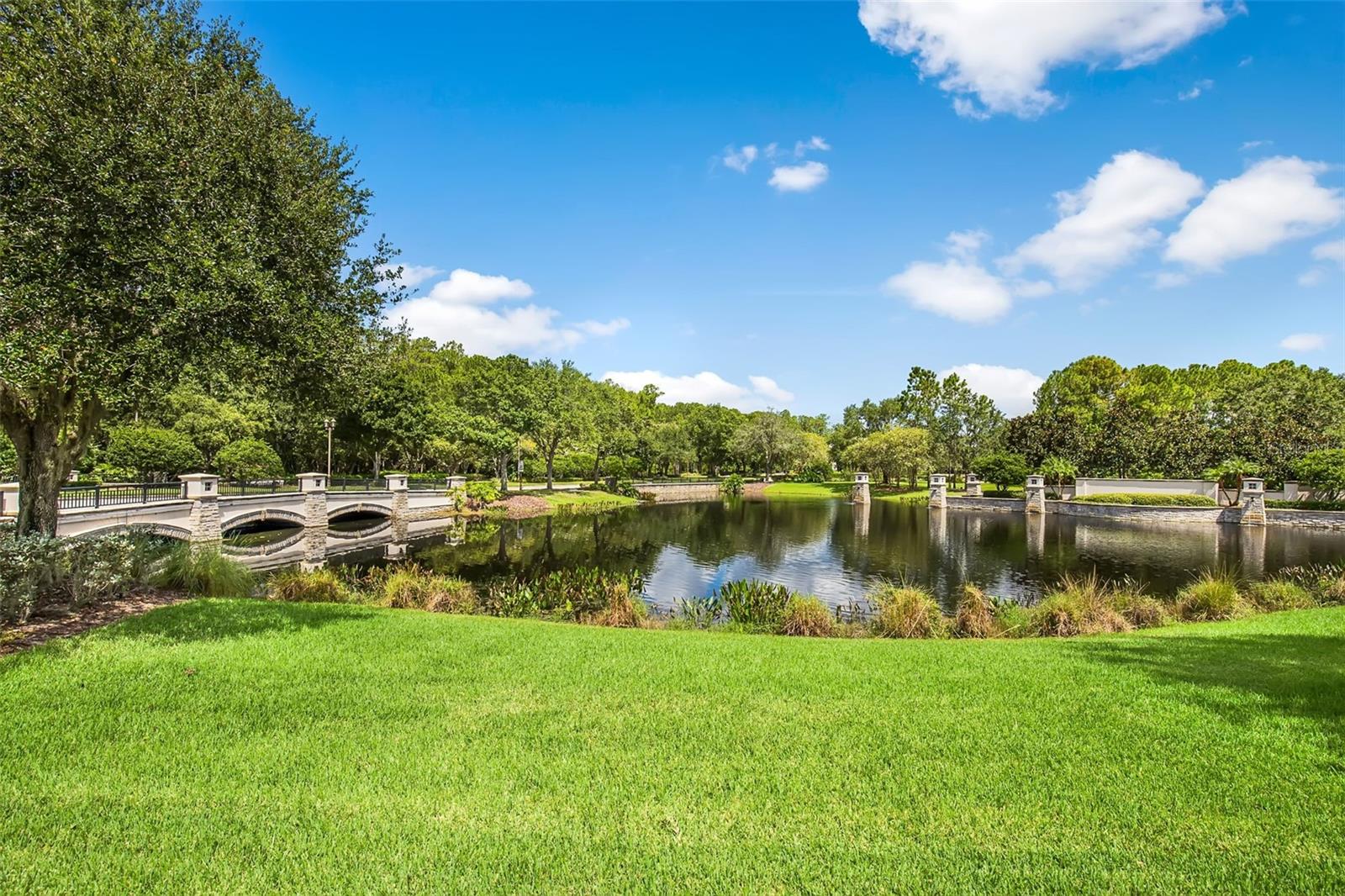 Image 67 of 96 For 12003 San Chaliford Court