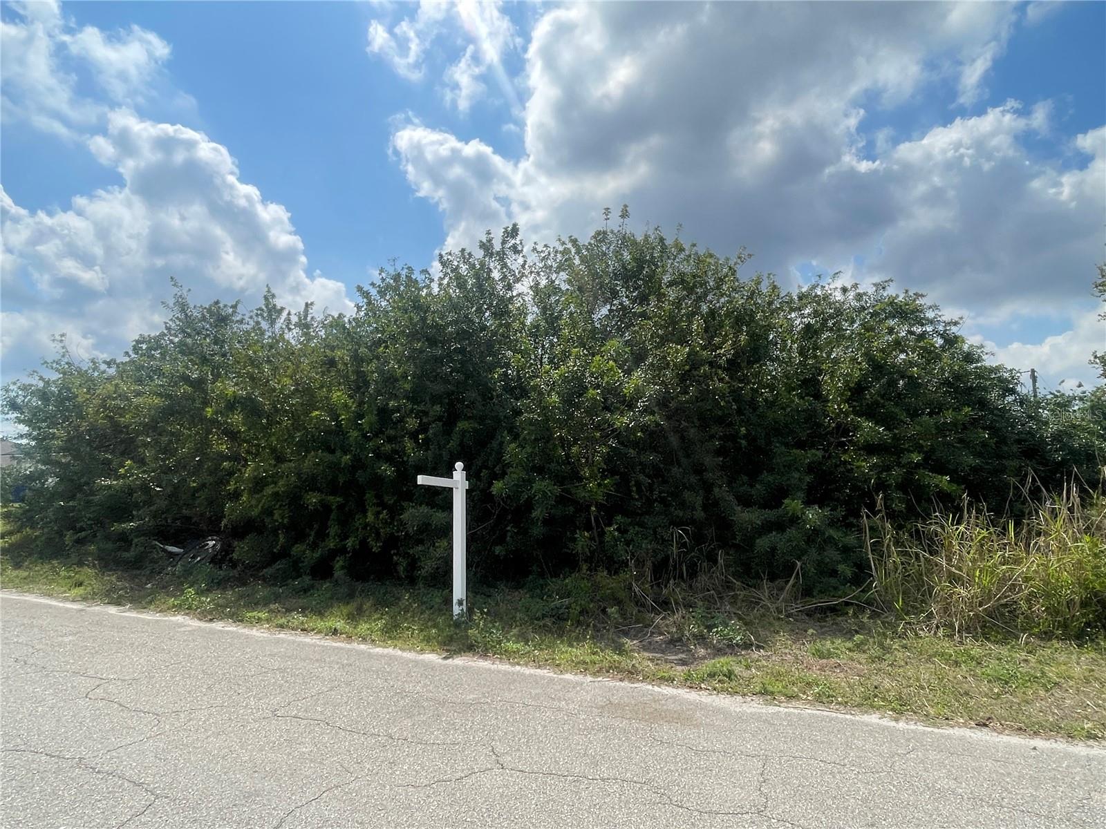 Listing photo id 0 for 1017-1019 Albany Avenue