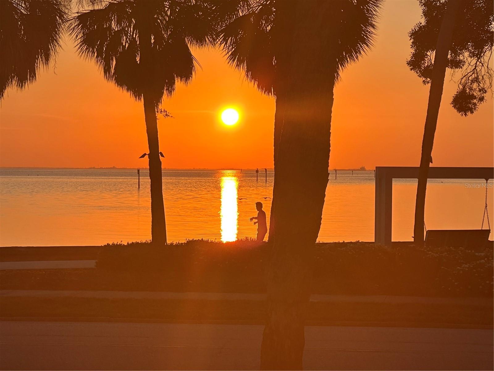 Image 46 of 46 For 756 17th Avenue Ne