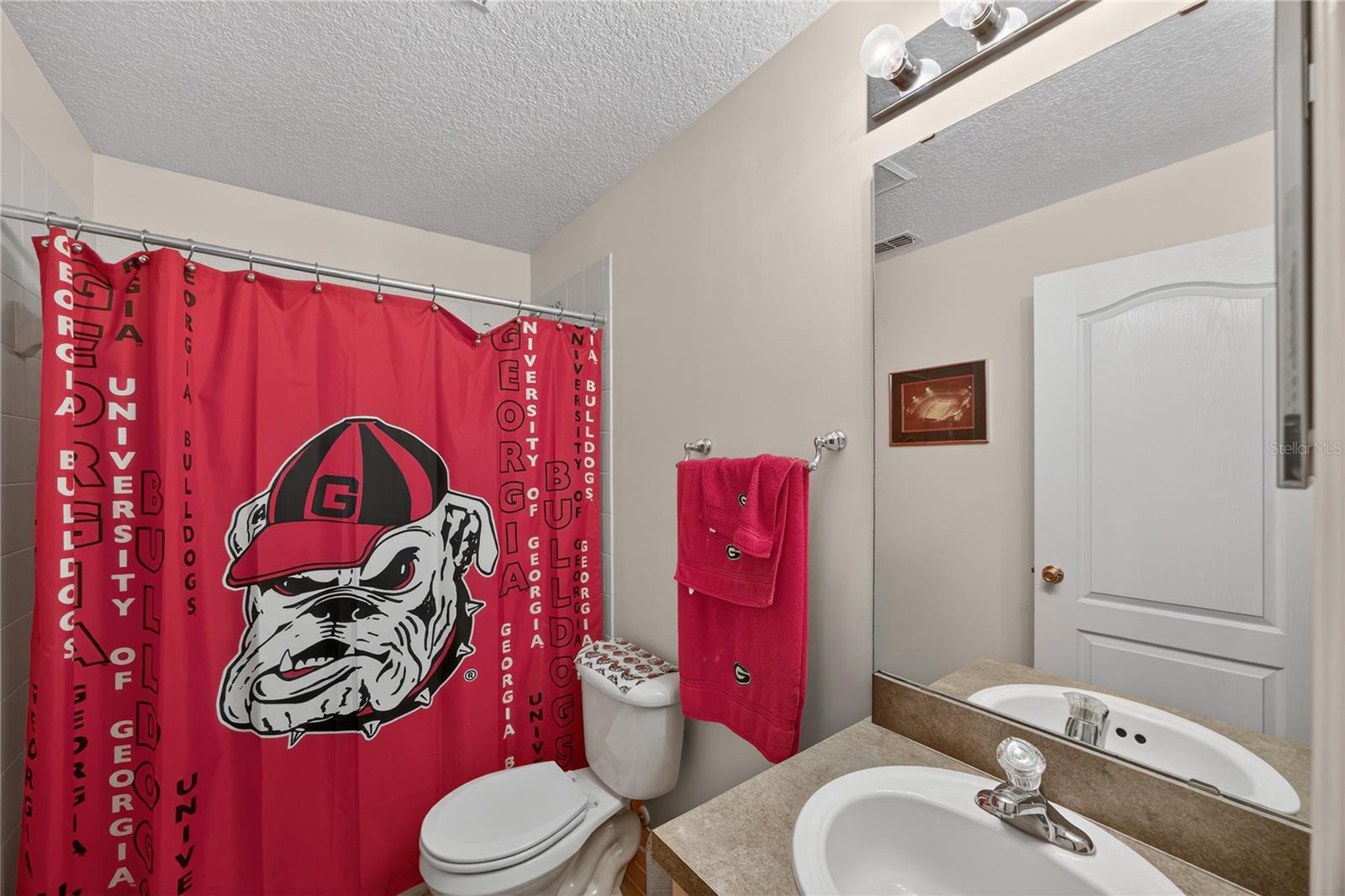 Image 29 of 34 For 3378 Ivybridge Court