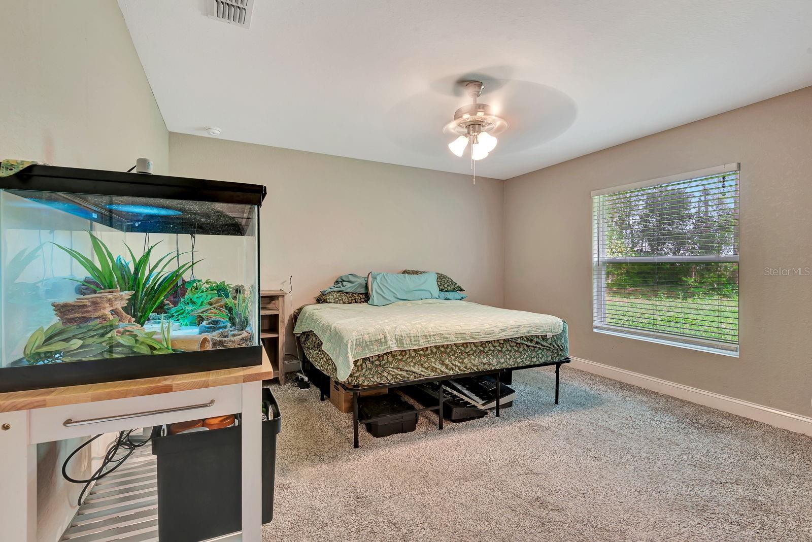 Image 17 of 34 For 1943 Elliott Street