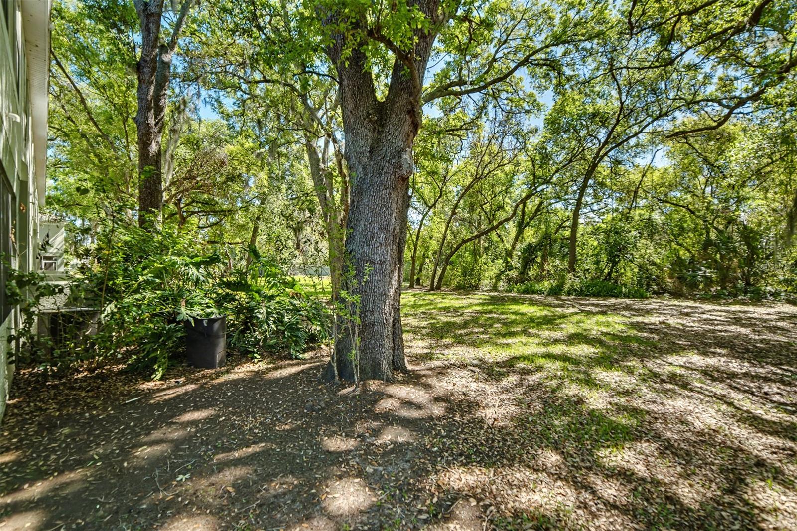 Image 20 of 24 For 2431 Earlswood Court