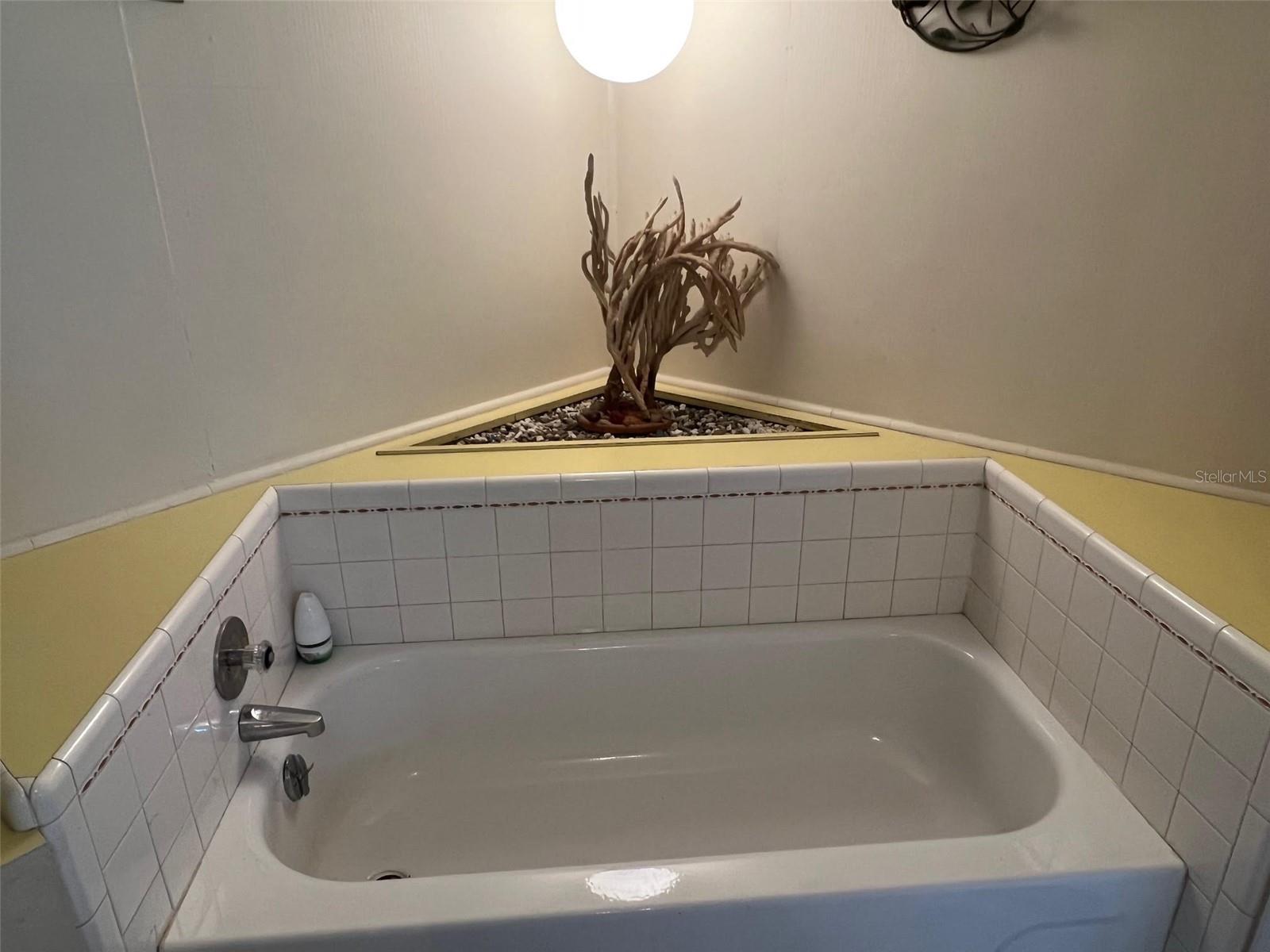 Listing photo id 34 for 29250 Us Highway 19 N 135