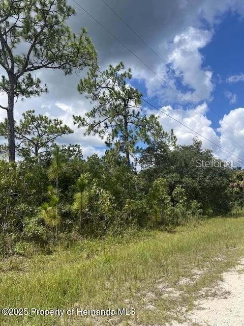 Details for 10194 Yellow Frog Avenue, WEEKI WACHEE, FL 34614