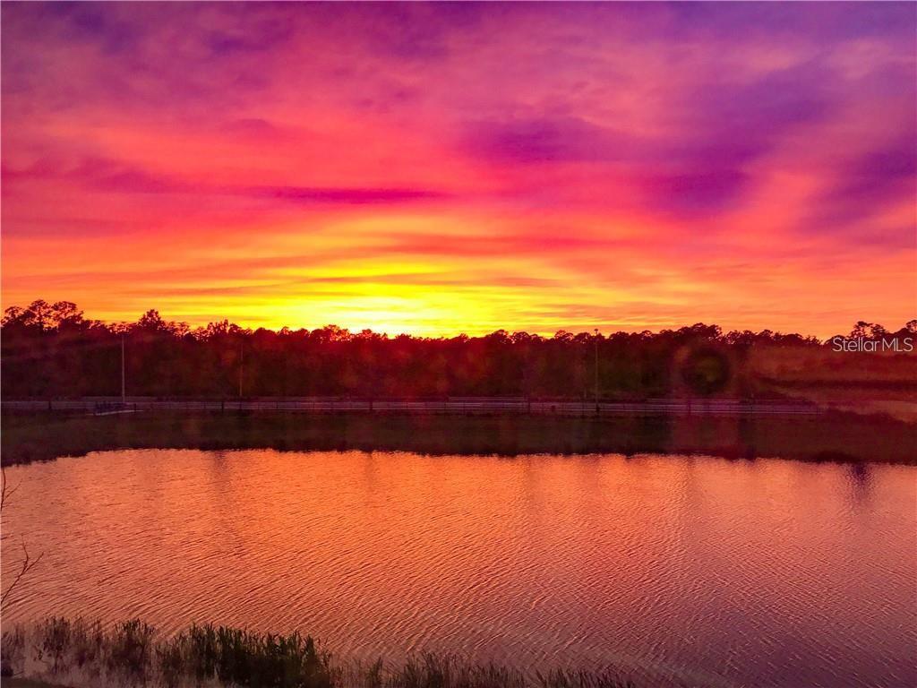 Image 17 of 45 For 1941 Milkweed Trace