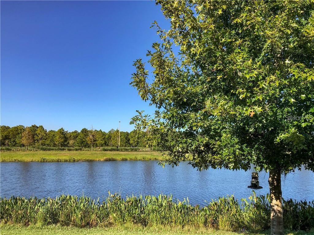 Image 18 of 45 For 1941 Milkweed Trace