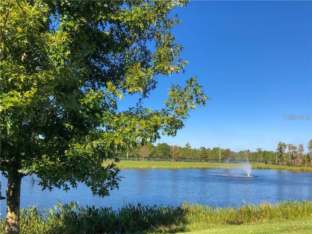 Image 20 of 45 For 1941 Milkweed Trace